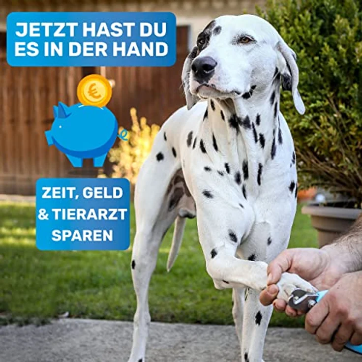 BluePet Profi Krallenschere für Hunde & Katzen, extra scharfer Krallenschneider mit einstellbarer Größe und integrierter Feile zur schmerzfreien Krallenpflege – Bild 2