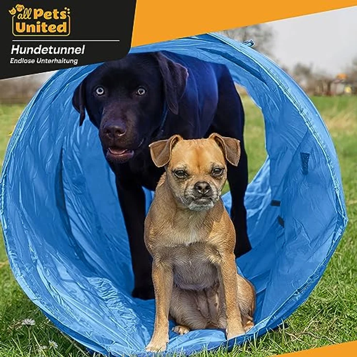 GOODS+GADGETS Hunde Agility Tunnel, Spieltunnel 500 x 60 cm, inkl. Heringe und Transporttasche, wasserfest und langlebig – Bild 4