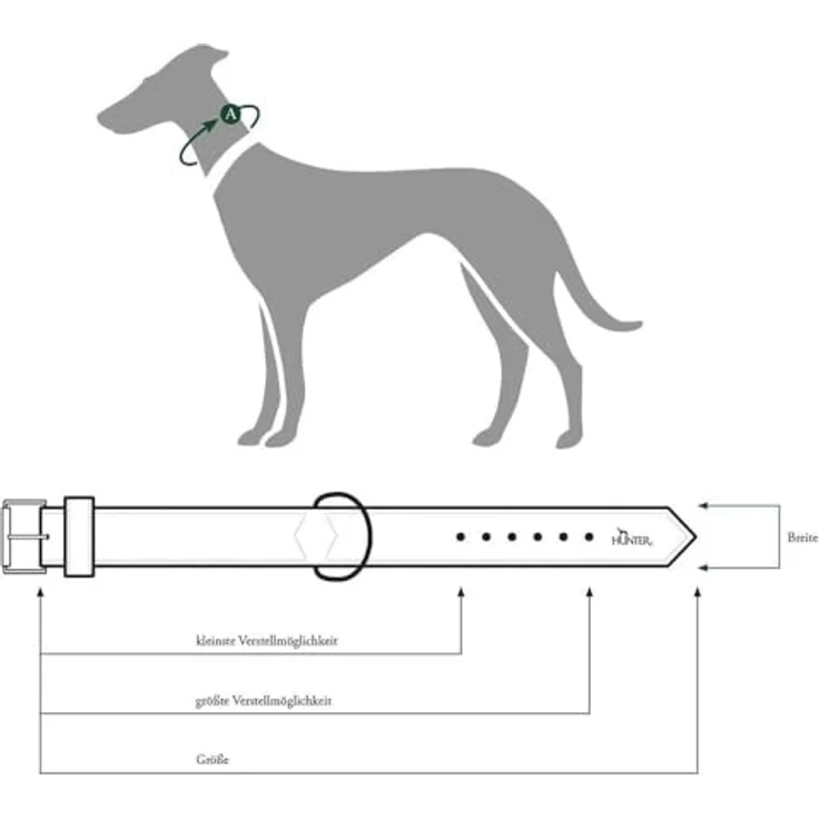 Hunter Hunde-Halsband Basic braun-schwarz S – Bild 4