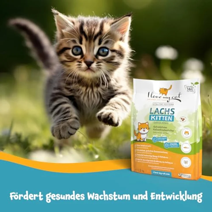 I love my cat Getreidefreies Trockenfutter für Kitten mit Lachs, leicht verdauliche Omega-3-reiche Formel zur Unterstützung von Wachstum, Haut und Fell – Bild 4