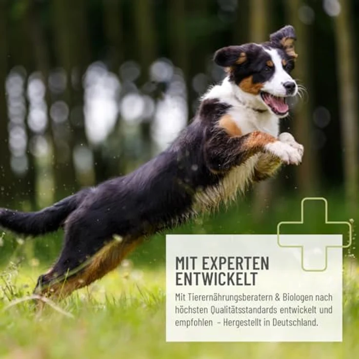 ReaVET Z-Blocker Hundeleckerli, Weizenfrei 3 x 100g, Vital Soft Happen mit Schwarzkümmelöl & Kokos für Zellschutz und Hautgesundheit – Bild 4