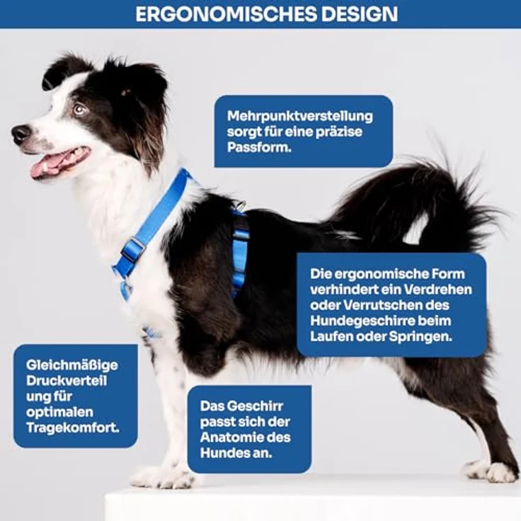 Chaba Guard Hundegeschirr Größe S, ergonomisches Anti-Zug Brustgeschirr für kleine Hunde, blau, verstellbar, bequem und leicht – Bild 5