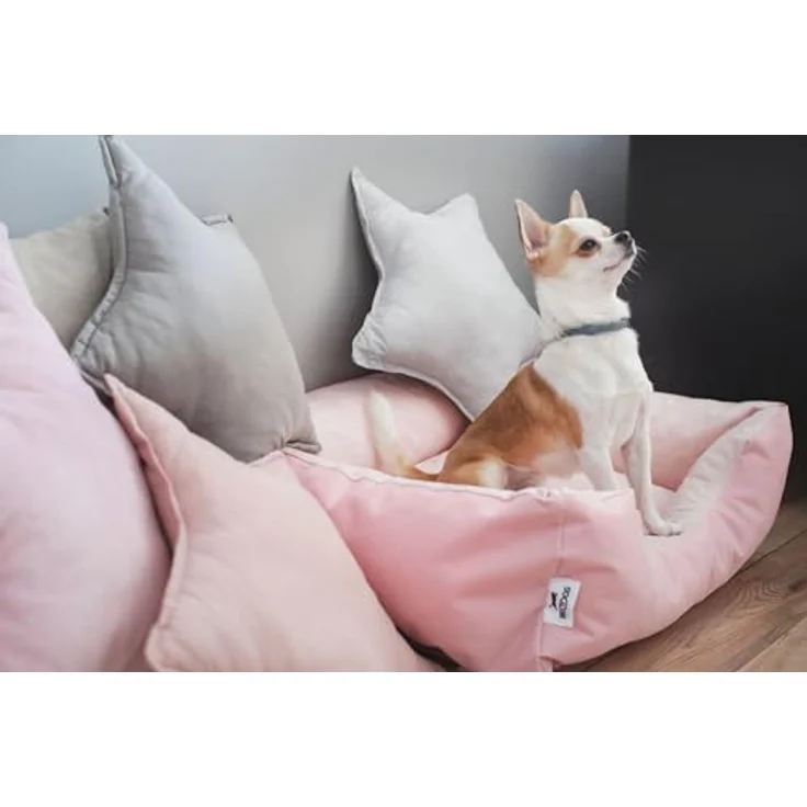 BedDog Tierbett Hundebett ZARA mit Rand, Bezug abnehmbar, pflegeleicht, komfortabel, grau – Bild 6