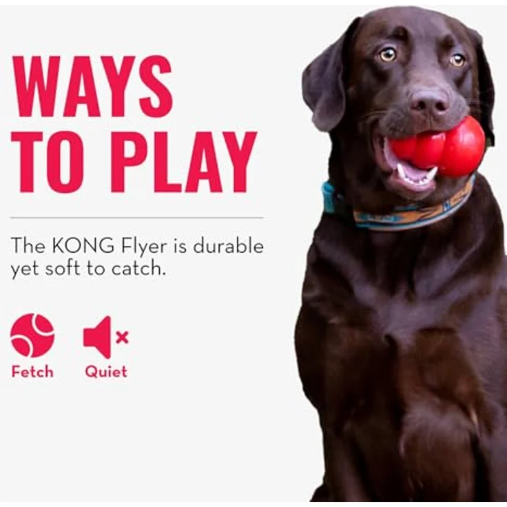 KONG Flyer, Langlebiges Outdoor Hundespielzeug aus Naturkautschuk, Wurfscheibe für Mittelgroße/Große Hunde, dynamischer Rückprall, strapazierfähig – Bild 5