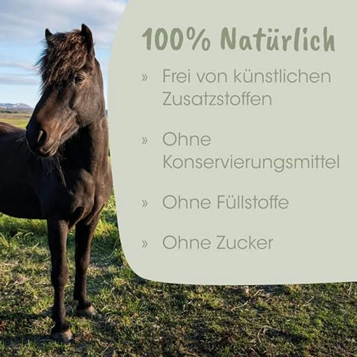 cdVet EquiGreen DarmAktiv, Ergänzungsfuttermittel für Pferde zur Unterstützung der Darmflora, 1 l, fermentiert, zuckerfrei, milchfrei – Bild 6