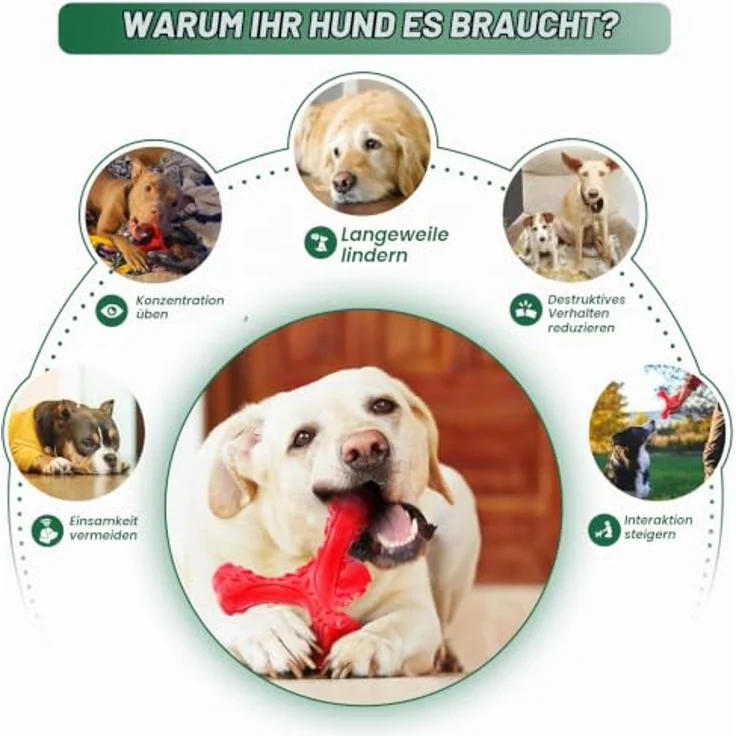 CVALIN Kauspielzeug für aggressive Kauer, unzerstörbares Knochenspielzeug aus Naturkautschuk, langlebige Zahnbürste für große Rassen – Bild 4