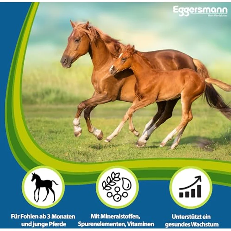 Eggersmann Mein Pferdefutter Osteomin Pellets 8 kg – Mineralfutter für Junge Pferde zur Unterstützung der Entwicklung mit ausgewogenem Calcium-Phosphor-Verhältnis – Bild 2