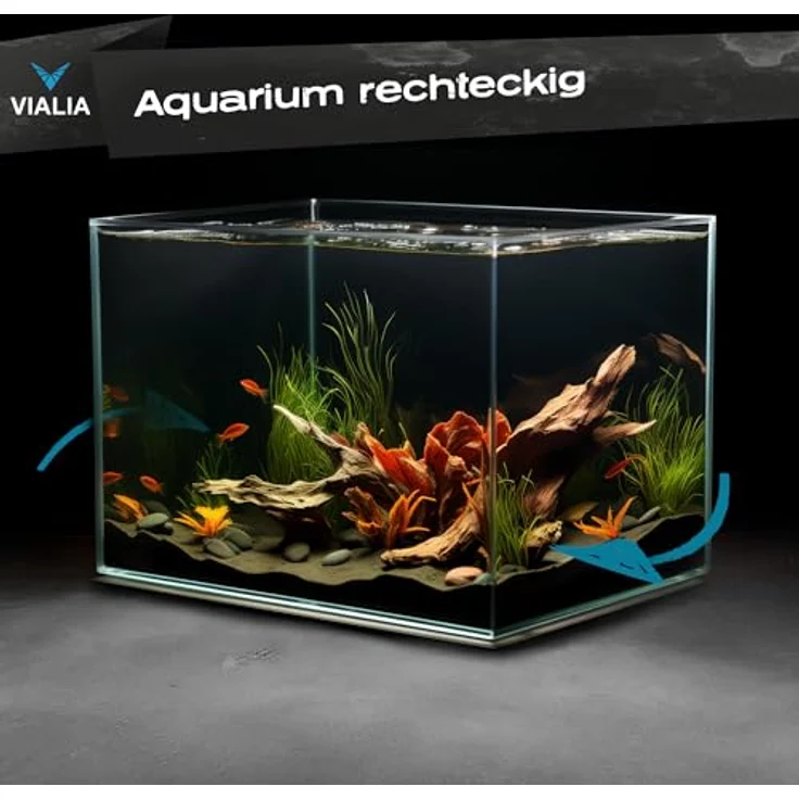 VIALIA Aquarium 12 Liter, Glasbecken 30x20x20 cm, stoßfest verklebt, diamantgeschliffene Kanten, kratzfestes Floatglas, ideal für Süß- & Salzwasser, für Fische, Garnelen & Wasserpflanzen – Bild 3