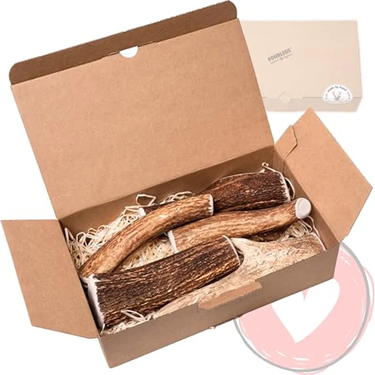 FOURLEGS® natürlicher Kausnack aus 100% Hirschgeweih, Mineralstoffe, Größe XL, Sparpaket (5 Stück) für Hunde 25-35 kg – Bild 1