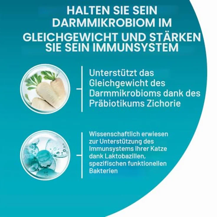 PURINA ONE Bifensis Sterilcat, Trockenfutter für sterilisierten Katzen mit Rindfleisch und Weizen, 9,75 kg – Bild 3