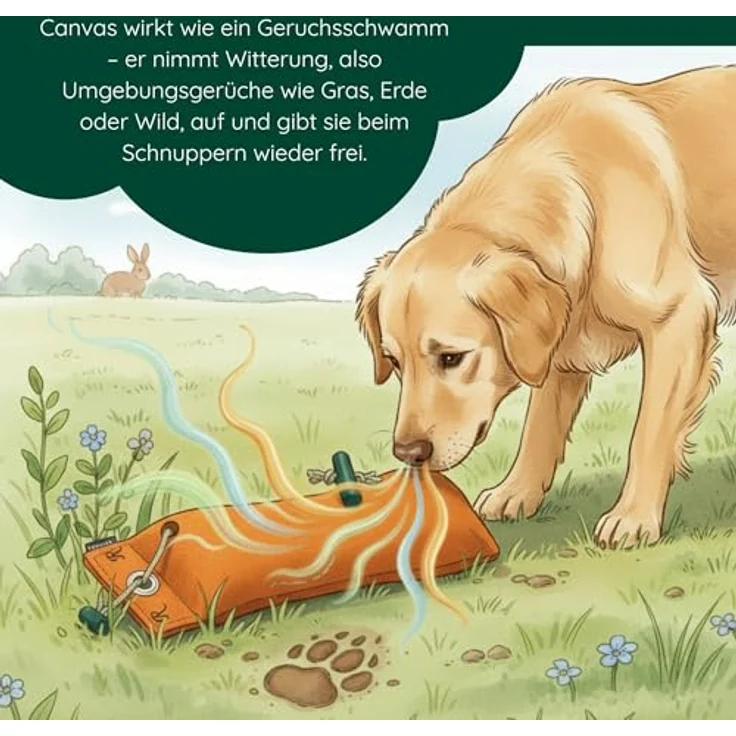 Romneys Standard-Dummy 500g Hundeapportel - Extrem robust, schwimmfähig und mit ergonomischem Wurfgriff (Orange) – Bild 5