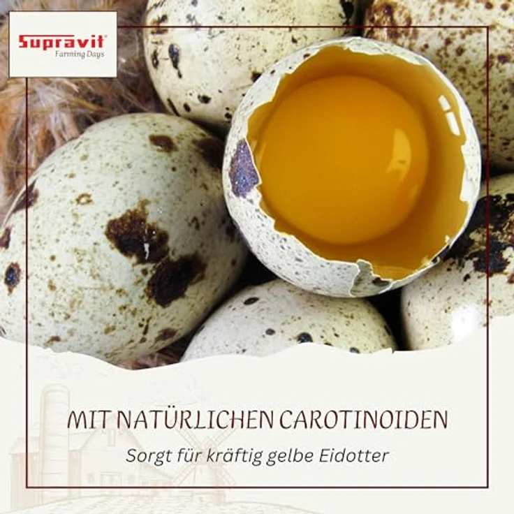 Supravit Maisbruch, 5kg geschroteter, getrockneter Mais für Vögel, Hühner, Kaninchen & Pferde, hochverdauliches Einzelfutter oder Mischfutter – Bild 4