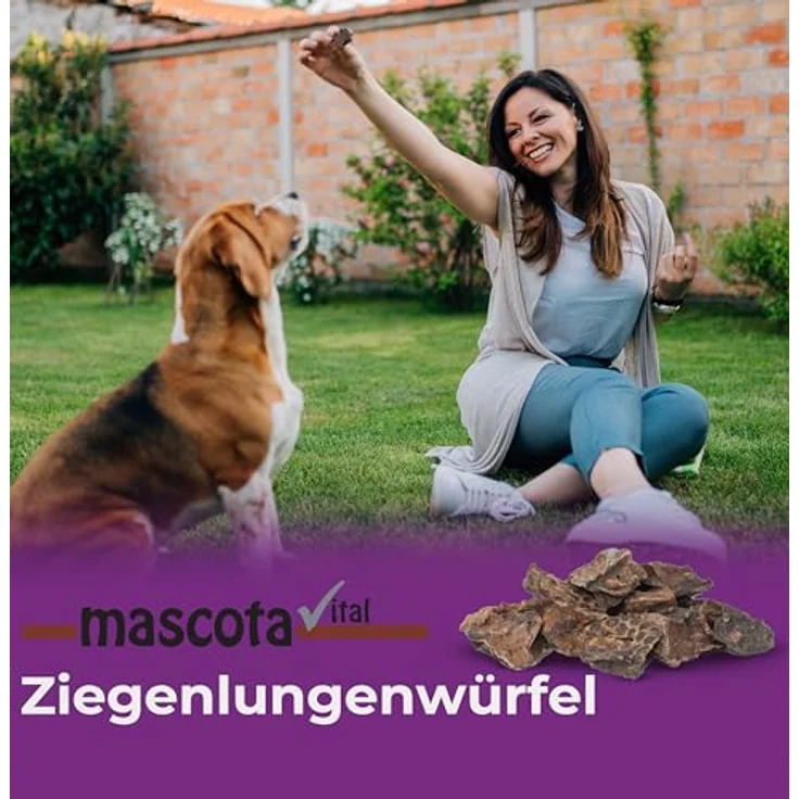 123... Hund dabei! mascota vital Ziegen-Lungenwürfel 200g, 100% natürliche, schonend getrocknete Ziegenlunge, kalorienarmer Trainingssnack, ideal für ernährungssensible Hunde, fördert Zahngesundheit – Bild 3