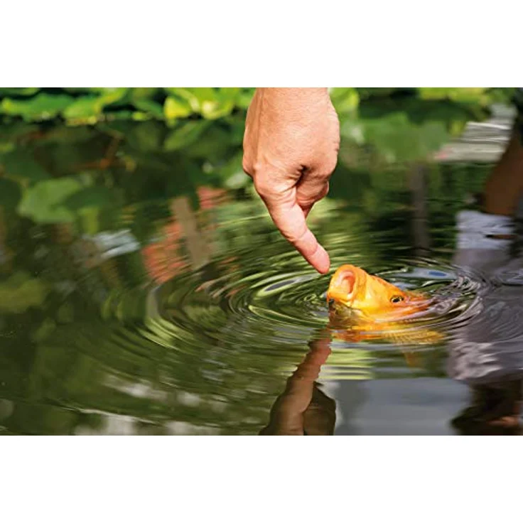 AL-KO-TE 1-Jahreszeitenfutter für Kois, Schwimmende Teichsticks Bunt, 4mm, 4,5 kg, für Sommermonate und bis 25 cm große Fische – Bild 3