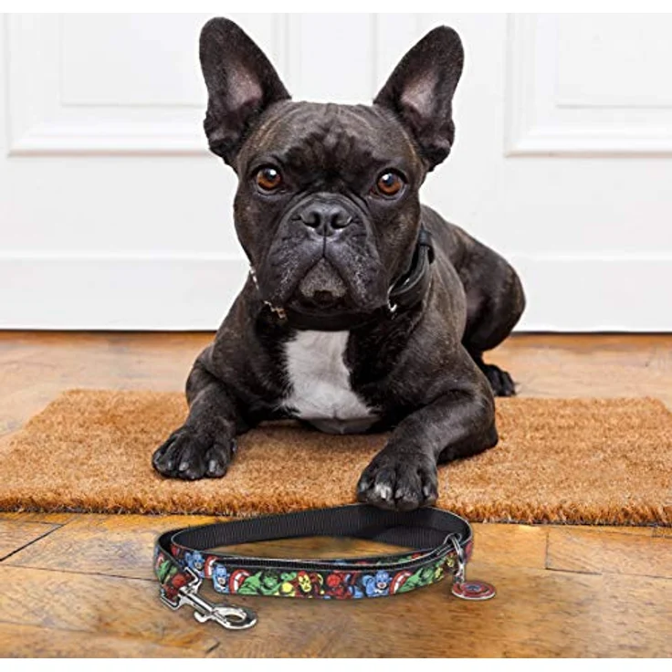 Cerdá Life'S Little Moments Marvel Hundeleine für kleine Hunde, 1,2 m lang, 15 mm breit, offizielles Lizenzprodukt – Bild 2
