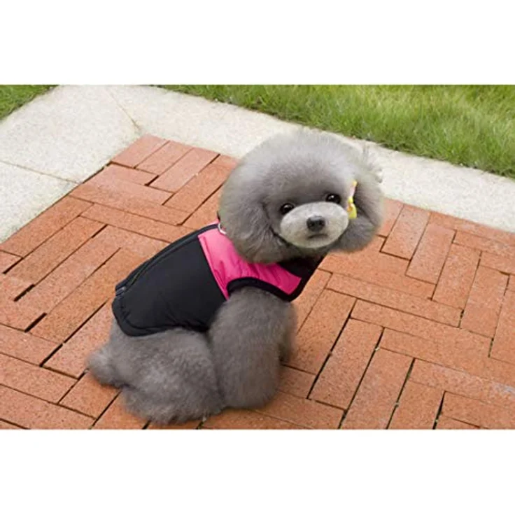 Ectkuee Winter Hundejacke, wasserdichter gefütterter Mantel für kleine Hunde mit D-Ring zur Leinenbefestigung, Größe S – Bild 5