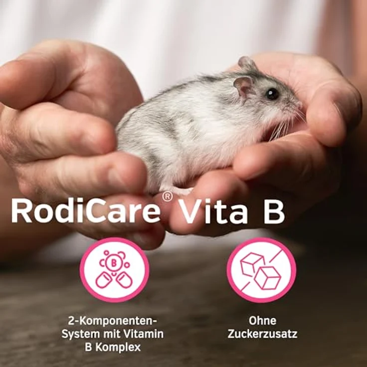 Alfavet RodiCare Vita B, B-Vitamine Ergänzungsfuttermittel für Kaninchen, Meerschweinchen und Kleinnager, 25ml mit Dosierspritze, hochkonzentriert und ohne Zuckerzusatz – Bild 3