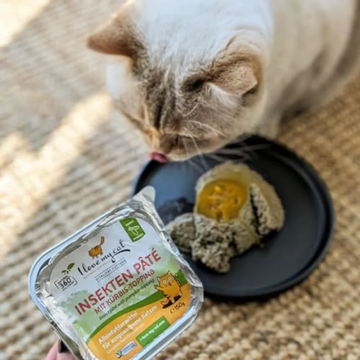 I Love My Cat Insekten Paté Nassfutter für Katzen mit Kürbis-Topping, hypoallergen, leicht verdaulich, unterstützt Nierenfunktion, 150 g (1er Pack) – Bild 4