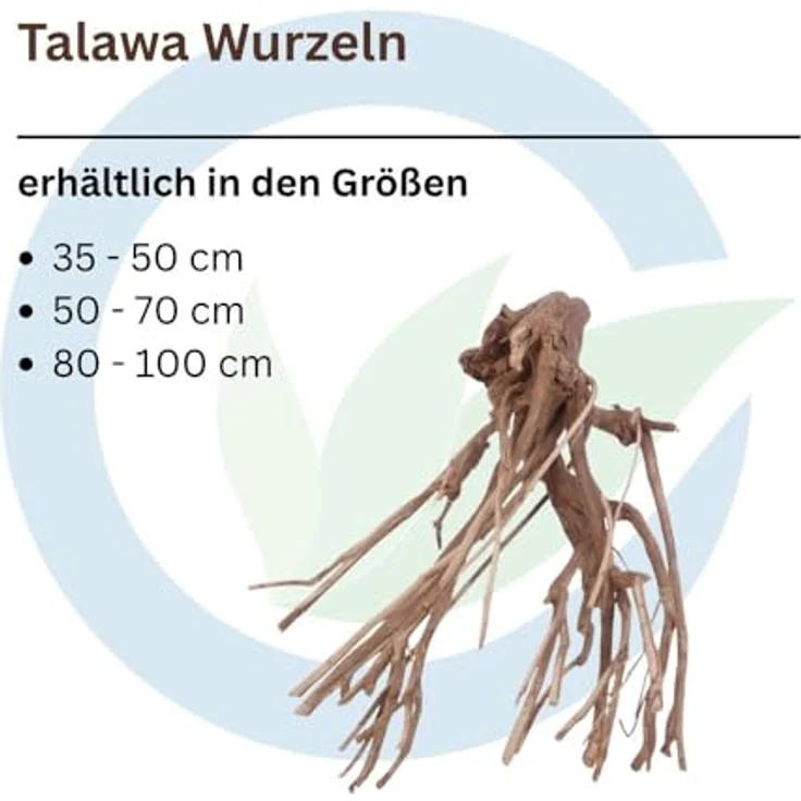 Aquaone Talawa Wurzel XL 50-70 cm, naturbelassene Aquarium Wurzel für Aquascaping, Herkunft Asien – Bild 2