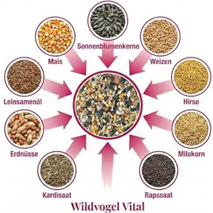 MeinWildvogel Wildvogel-Vital Premium Vogelfutter 30 kg XXL, Ganzjahresstreufutter mit Sonnenblumenkernen & Erdnüssen, Gentechnikfrei & Ambrosia-kontrolliert – Bild 4