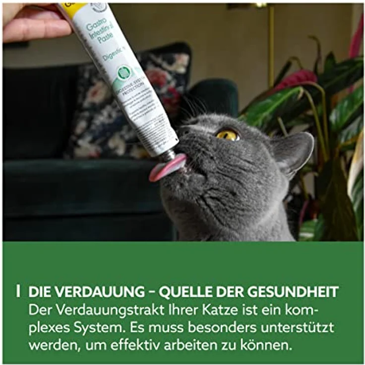GimCat Gastro Intestinal Paste, Verdauungsfördernde Paste für Katzen mit Ulmenrinde, 50 g – Bild 3