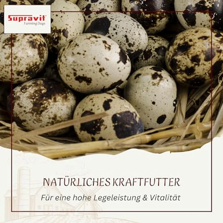 Supravit Braugerste 5kg, Ergänzungsfutter für Hühner und Tauben, energiereiches Zusatzfutter mit wertvollen Kohlenhydraten, leicht verdaulich und gut verträglich – Bild 4