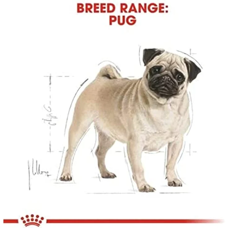 Royal Canin Mops Adult, Hundefutter für Möpse ab 10 Monaten, 1,5 kg, unterstützt Hautgesundheit und ideales Körpergewicht – Bild 7