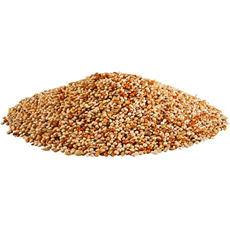 PANTO Wellensittichfutter mit Pluramin 4X 2,5 kg, artgerechte Saatenmischung für Wellensittiche mit natürlichem Jod und Vitalstoffen – Bild 2