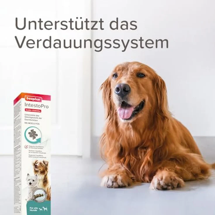 Beaphar IntestoPro Paste für Hunde, 2x20 ml, mit prebiotischen Inhaltsstoffen zur Unterstützung der Darmfunktion und köstlichem Fleischgeschmack – Bild 6