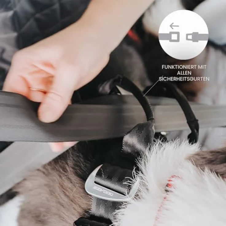 EzyDog Drive Autogeschirr für Hunde, Sicherheitsgeschirr mit integrierter Gurtbefestigung, Größe S, Schwarz, ECE R21 zertifiziert – Bild 4