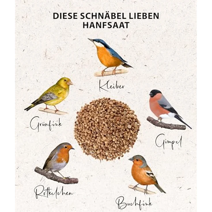 Dehner Natura Premium Wildvogelfutter, Hanfsaat, proteinreiches Ganzjahresfutter für Wildvögel, 2.5 kg – Bild 2