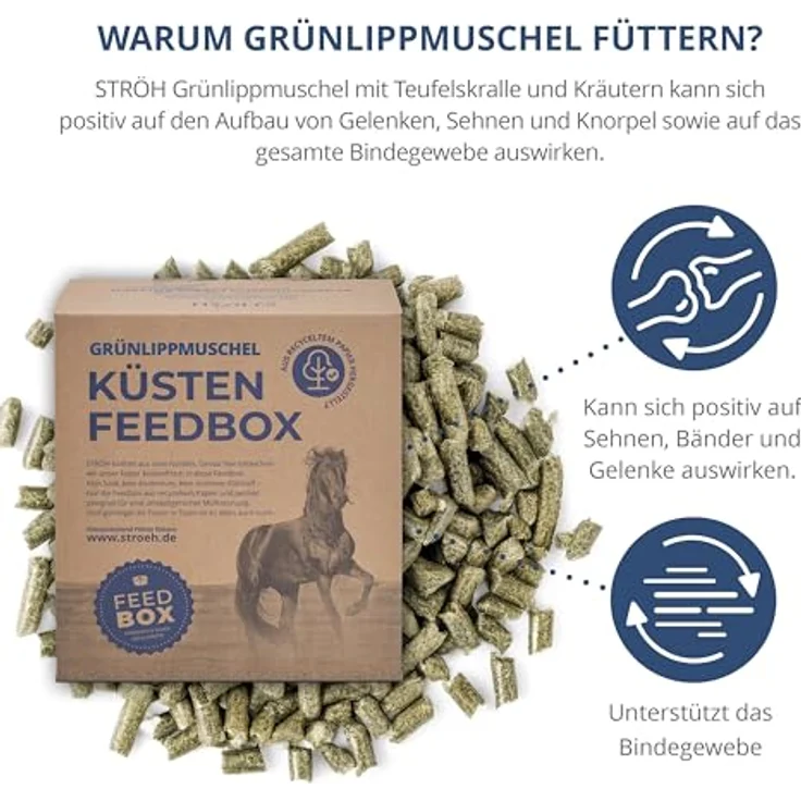 STRÖH Grünlippmuschel Pellets für Pferde, 4,5 kg Feedbox, zur Unterstützung von Sehnen, Bändern und Gelenken, 100% natürlich – Bild 3