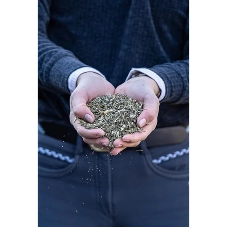 Stiefel Hustenkräuter für Pferde, 100% naturbelassene Kräutermischung zur Unterstützung der Atemwege, 1kg – Bild 4