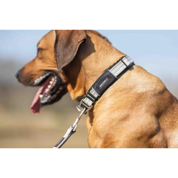 Wolters Active Pro Hundehalsband Gr.3 45-52 cm x 4 cm, champagner/silber, gepolstert mit atmungsaktivem Mesh, reflektierende Nähte, inkl. Leine – Bild 2