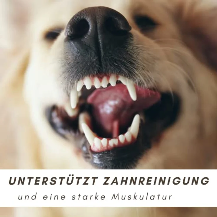 Supravit Rinderpansen getrocknet für Hunde 1kg, natürliche Kaustangen zur Zahnpflege ohne Zusätze, schmackhafte Hundeleckerlis, hergestellt in Deutschland – Bild 4