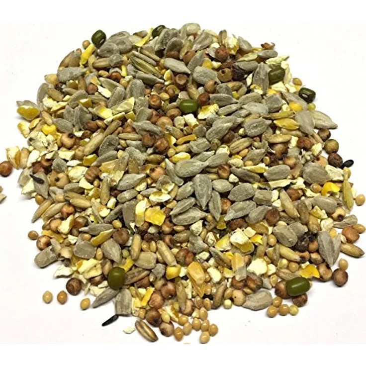 Versele-Laga Menu Nature Clean Garden Mischung, 10 kg, nahrhaftes Wildvogelfutter ohne Schalen für ganzjährige Fütterung – Bild 3