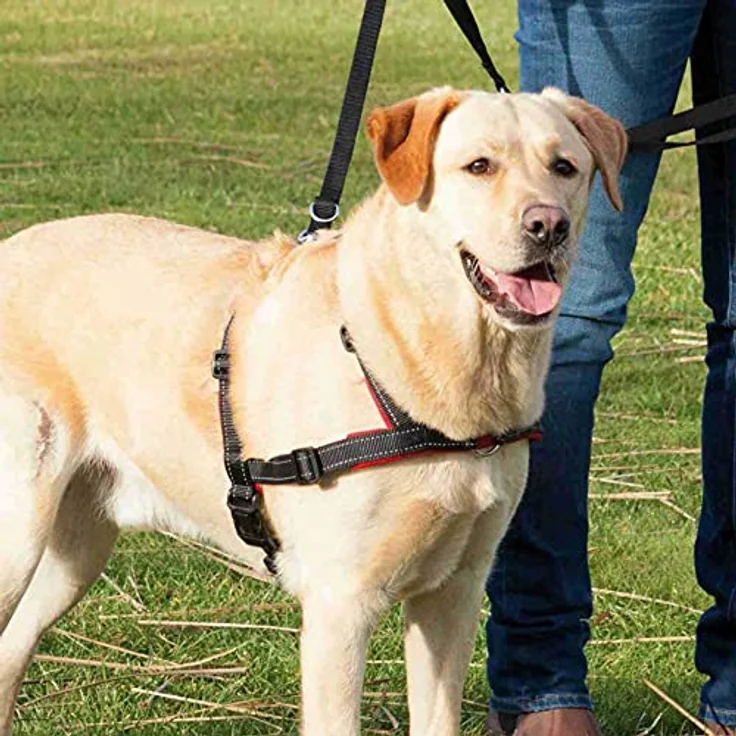 TRIXIE, Lead'n'Walk Soft Erziehungsgeschirr schwarz L-XL – Bild 4