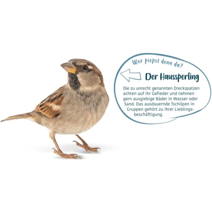Elles Streufutter 20kg, Klassisches Wildvogelfutter für Ganzjahresfütterung, 100% natürlich, Ideal für Gemischtfresser, Ambrosia kontrolliert – Bild 4