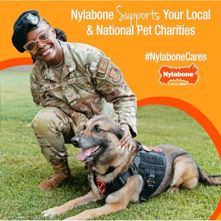 Nylabone Strong Chew - Bacon Cheeseburger M, Texturierter Kauknochen aus Naturkautschuk zur Zahnsteinentfernung für Hunde – Bild 6