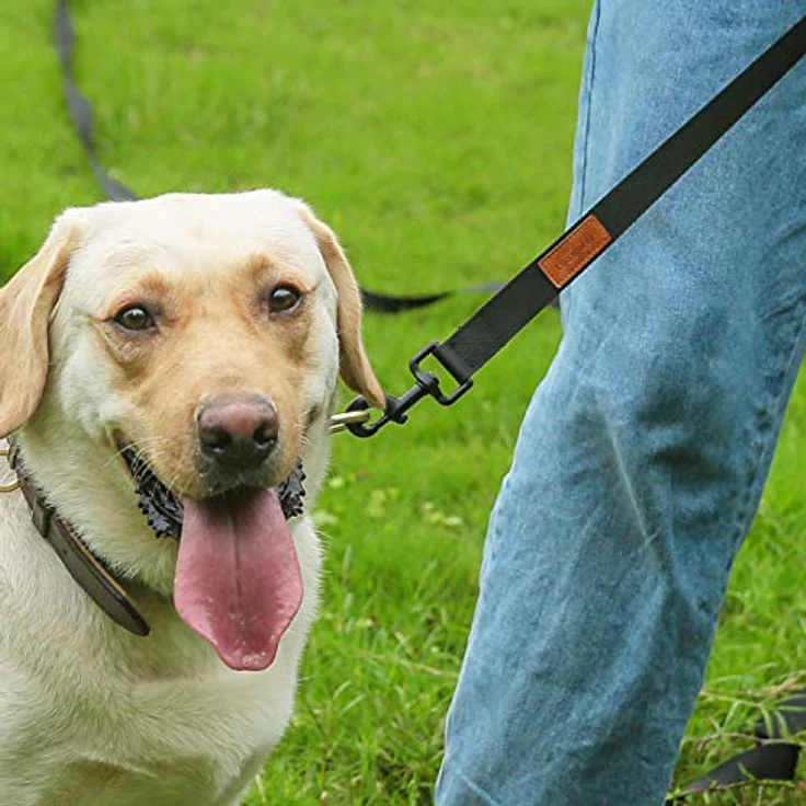 Looxmeer Schleppleine für Hunde, 3m bis 30m, reißfeste Trainingsleine mit 360° drehbarem Karabiner und ergonomischem Griff, ideal für große und kleine Hunde, inklusive gratis Aufbewahrungstasche – Bild 2