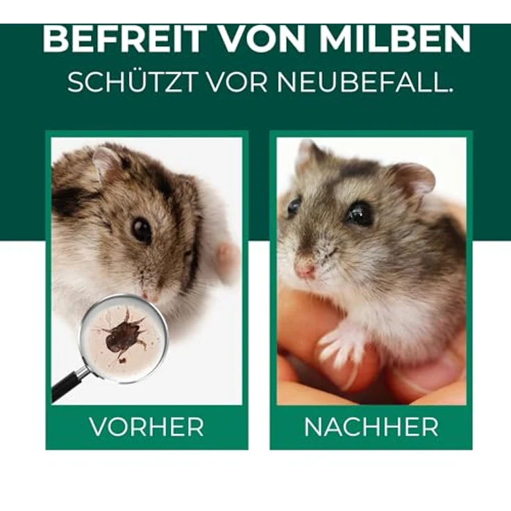 Silberkraft Milbenspray Hamster 2L Kanister - Effektives Anti-Milben Spray für Hamster, Rennmäuse und Degus, sanfte Hilfe für kleine Nager – Bild 2
