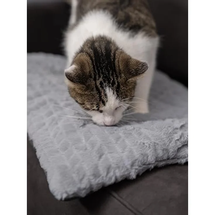 TrendPet Hundedecke Heaven Wendedecke für Hunde und Katzen, gefüttert, grau, 110x70 cm – Bild 5