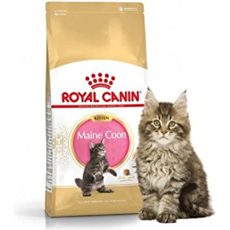 Royal Canin Kitten Maine Coon, Trockenfutter für Rassekatzen, 2 kg Packung – Bild 4