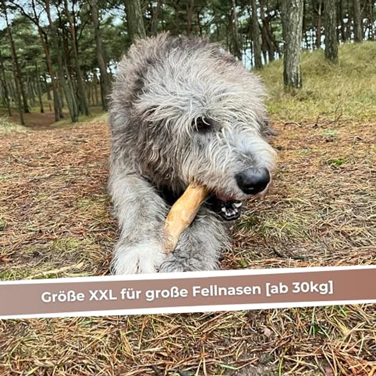 ZOYS Kaffeeholz für Hunde, Natürlicher Kauknochen für Zahnreinigung & Zahngesundheit, langlebig & risikoarm, Größe XXL, 1 Stück – Bild 3