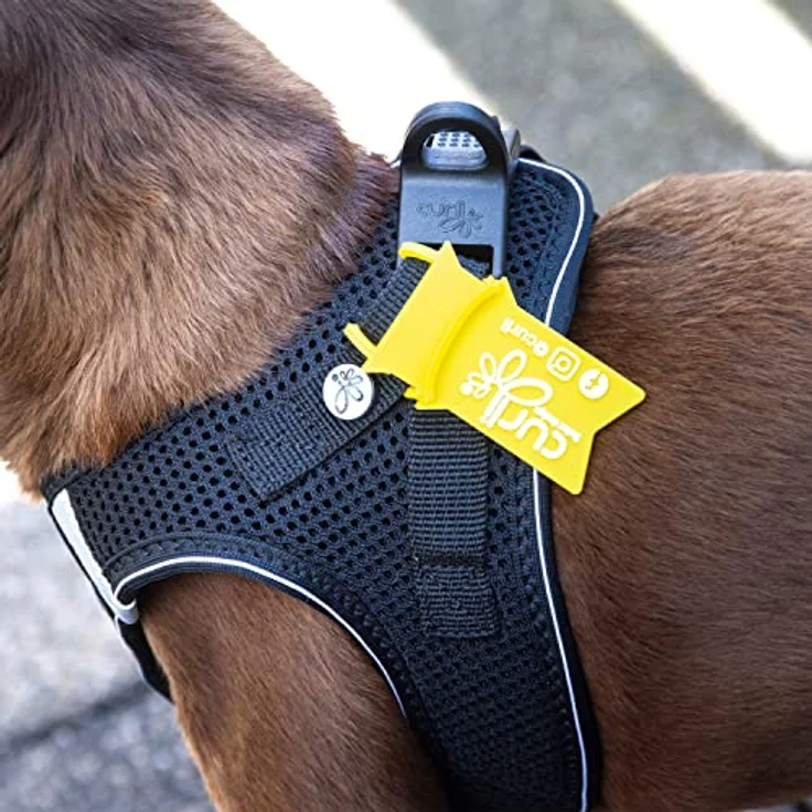 Curli Vest Harness Air-Mesh Camo L, Hundegeschirr für kleine und mittelgroße Hunde, atmungsaktiv, mit DogFinder ID und reflektierenden Streifen – Bild 5