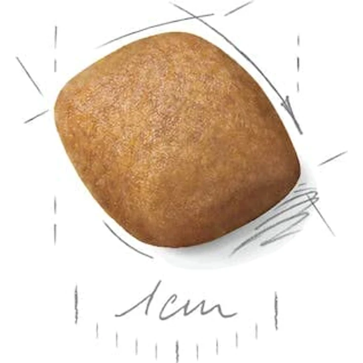 Royal Canin Pomeranian Adult, Trockennahrung für ausgewachsene Zwergspitze (>8 Monate), 3kg, angepasste Krokette für kleine Mäuler – Bild 2