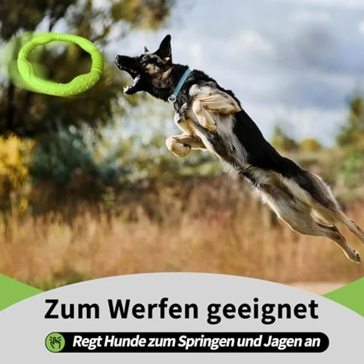 LaRoo Hund Frisbee, unzerstörbarer Fitness-Ring, schwimmfähig und wasserdicht, 18 cm, für mittel und kleine Hunde – Bild 3