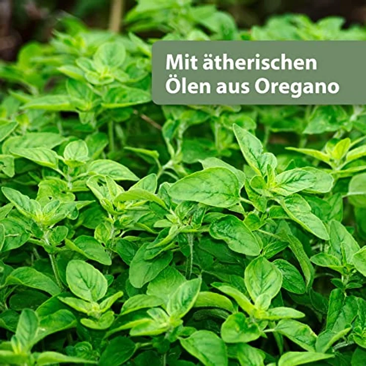 Quiko Med Immun für Hühner, 100ml Hühner Vitamine mit hochwertigem Oregano-Öl, zur Unterstützung der gesunden Entwicklung, Made in Germany – Bild 3