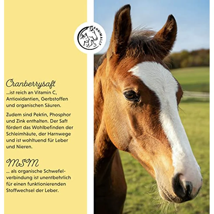 Annimally Leber Nieren Liquid für Pferde, 1000ml Kräutersaft mit Mariendistel & Artischocke zur Unterstützung der Leber- und Nierenfunktion – Bild 4