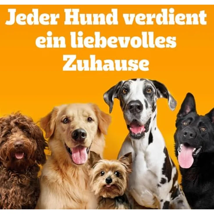 Pedigree Professional Nutrition Adult Hundefutter mit Rind und Gemüse, 12 kg, reich an Präbiotika und Superfoods – Bild 13